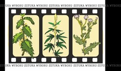 Plakat profilaktyczny powstał w ramach programu &amp;quot;Sztuka Wyboru&amp;quot;. Plakaty są dostępne na licencji Creative Commons - Uznanie autorstwa - Użycie niekomercyjne - Bez utworów zależnych 4.0 Międzynarodowe. W związku ilością grafik nadesłanych na konkurs i ich abstrakcyjną formą grafika nie posiada alternatywnego opisu, jednak serdecznie zachęcamy do kontaktu z administratorem strony, który z przyjemnością przybliży Państwu program i różnorodność zrealizowanych w jego ramach prac.